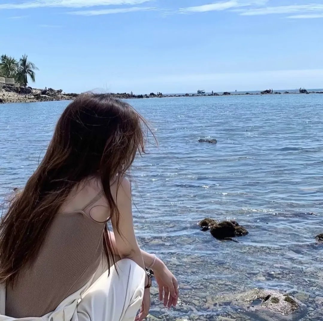 摄影师贝尔蒂与海豚零距离