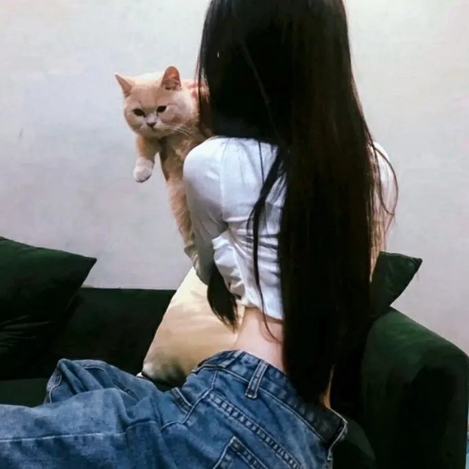 拳力突袭